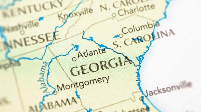 What Every Company in Georgia Needs to Know About ESG