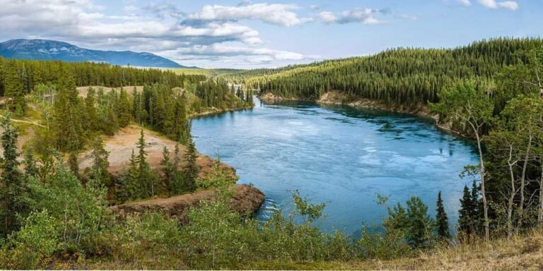What Every Company in Yukon Needs to Know About ESG