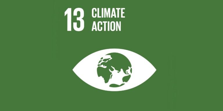 What is SDG 13?