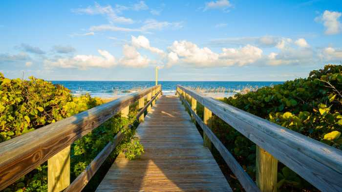What Every Company in Florida Needs to Know About ESG